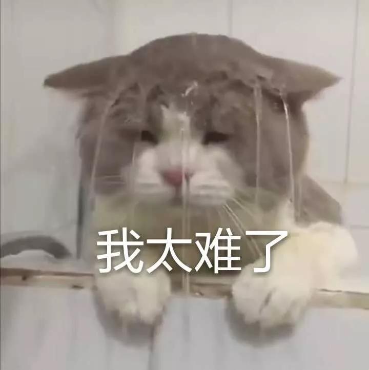 我太難了